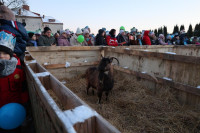 Orszak Trzech Króli w Kościerzynie